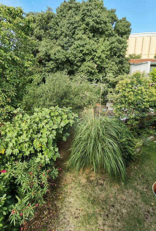 Pine And Lime Apartments Пула Екстериор снимка