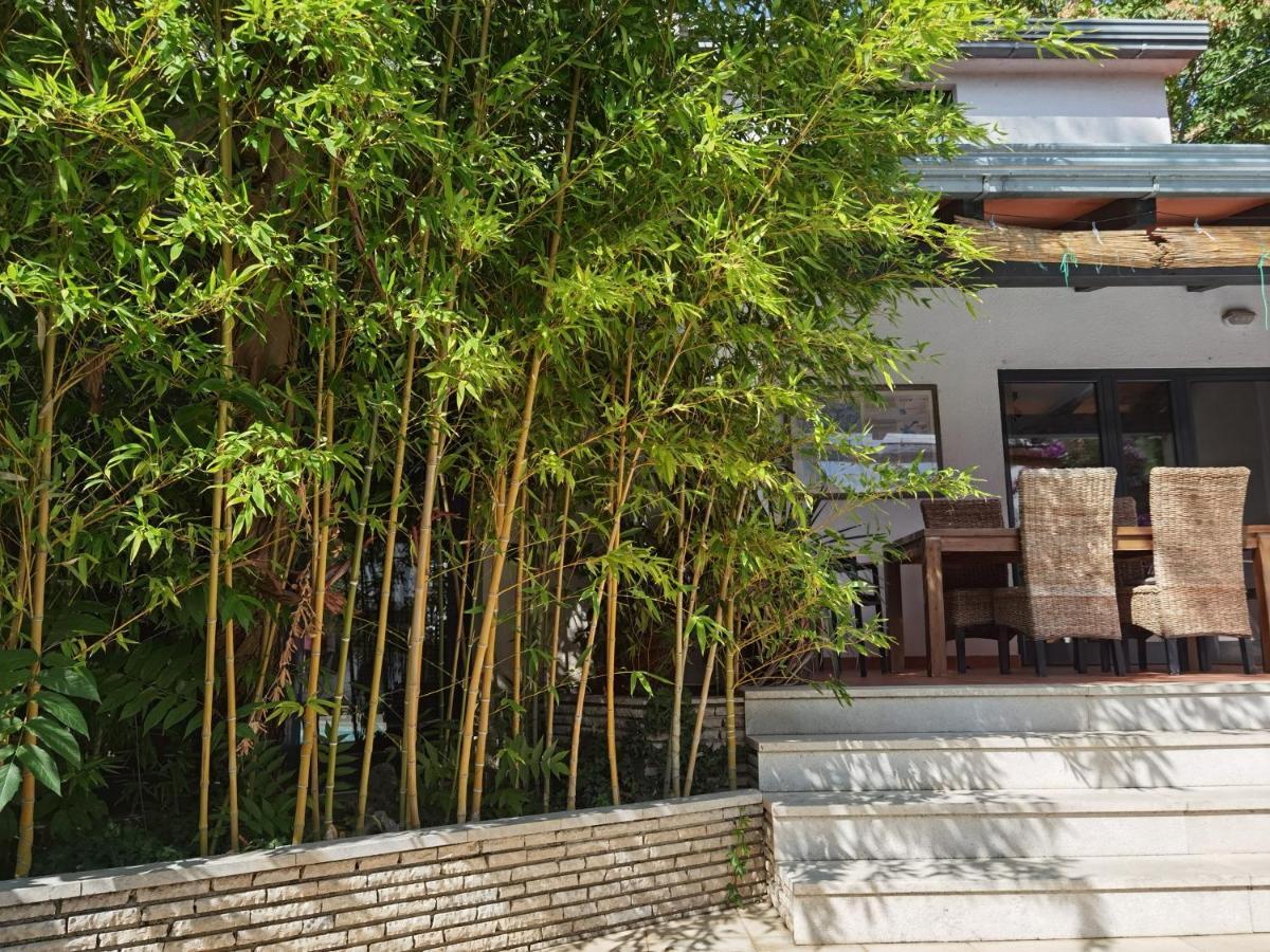 Pine And Lime Apartments Пула Екстериор снимка